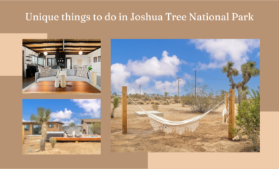 Joshua Tree National Park: A Paradise of Untamed Beauty and Unforgettable Activities