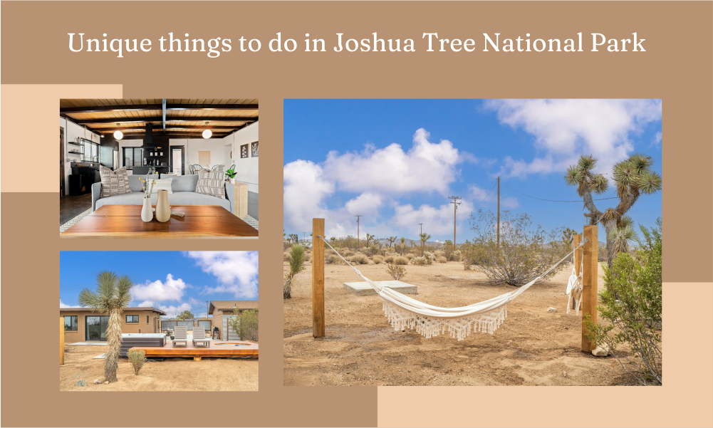 Unique things to do in Joshua Tree National Park